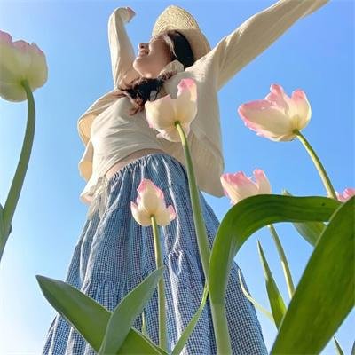 加菲猫2